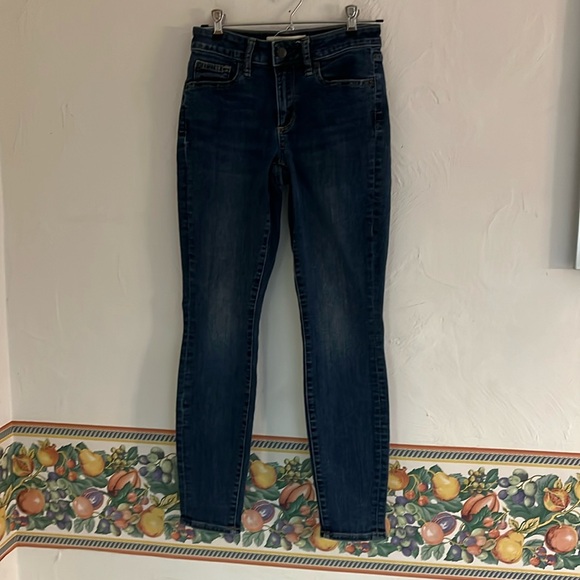 GAP Denim - Gap 1969 Gap for Good Curvy True Skinny Jeans, Size 25/2R, Blue Denim